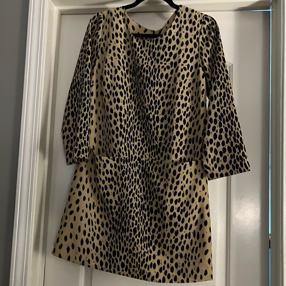 J. Crew dress